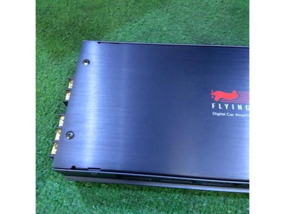 FLYINGMOLE DCA-161 1ch amplifier2