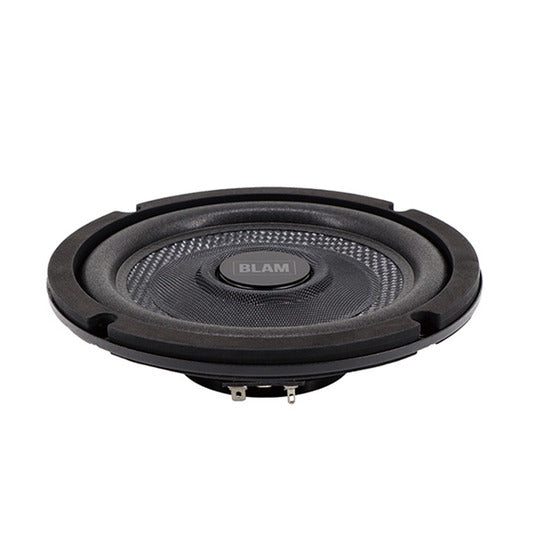 BLAM 165RWF Speaker 165mm Extra Flat Woofer1