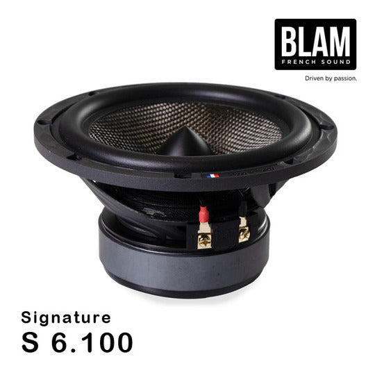 BLAM S-6100 Speaker 165mm Midbass0